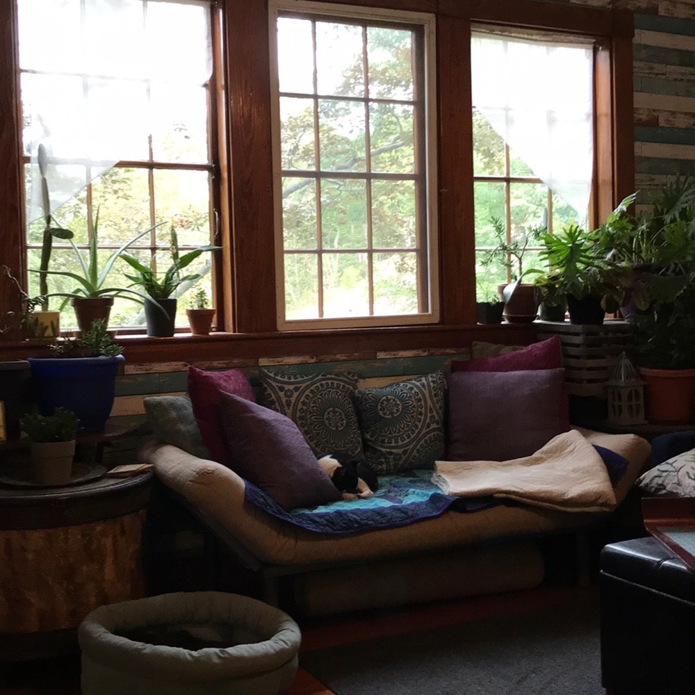 Meet your Posher, Rachael